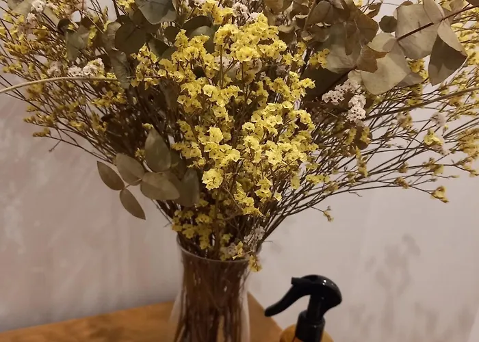 Apartment Menval16 Gijon